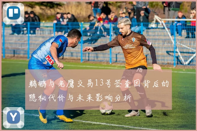 鹈鹕与老鹰交易13号签奎因背后的隐秘代价与未来影响分析